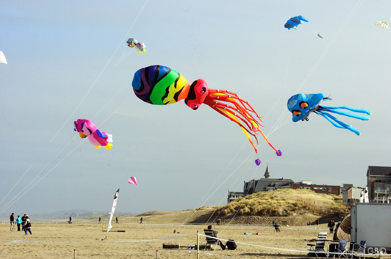 Berck.sur.Mer.2013_034