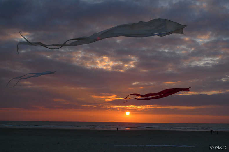 Berck.sur.Mer.2013_061
