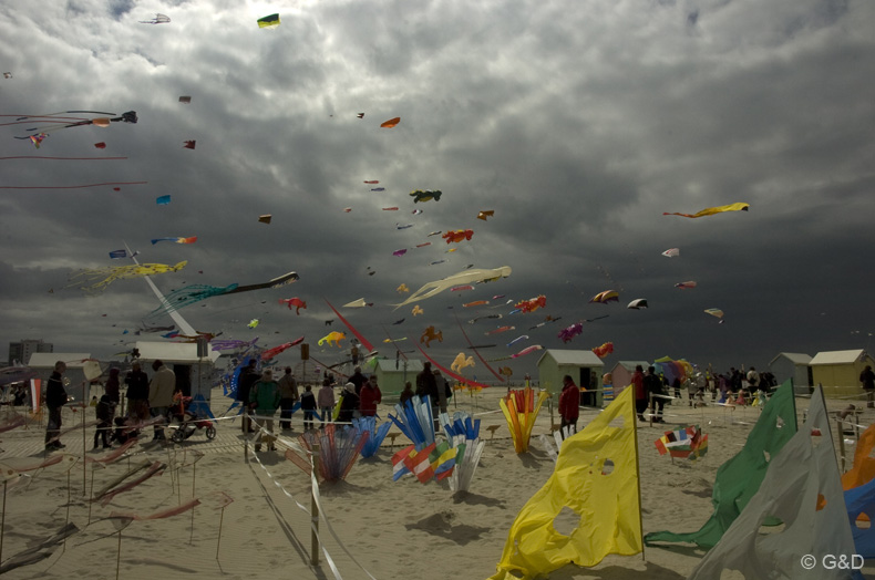 Berck.sur.Mer.2013_063