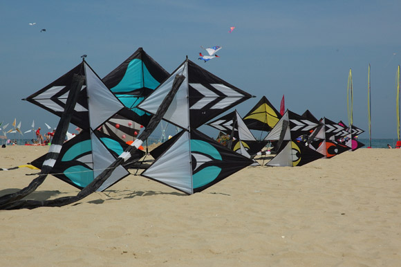 cervia0074