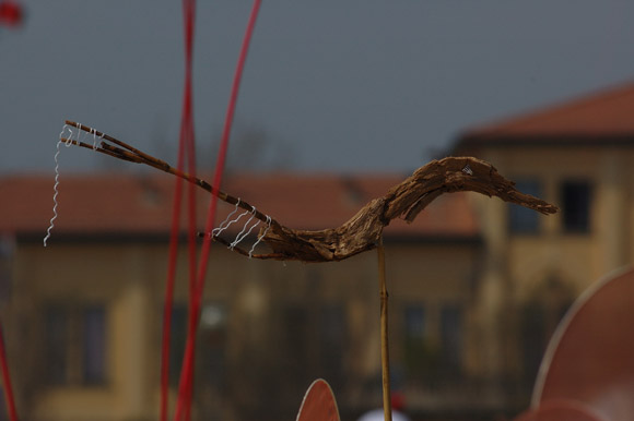 cervia0097