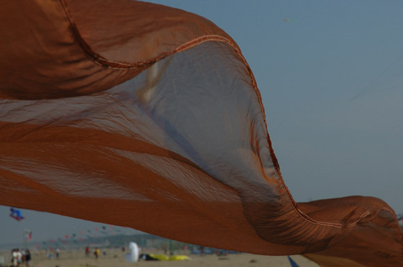 cervia0136