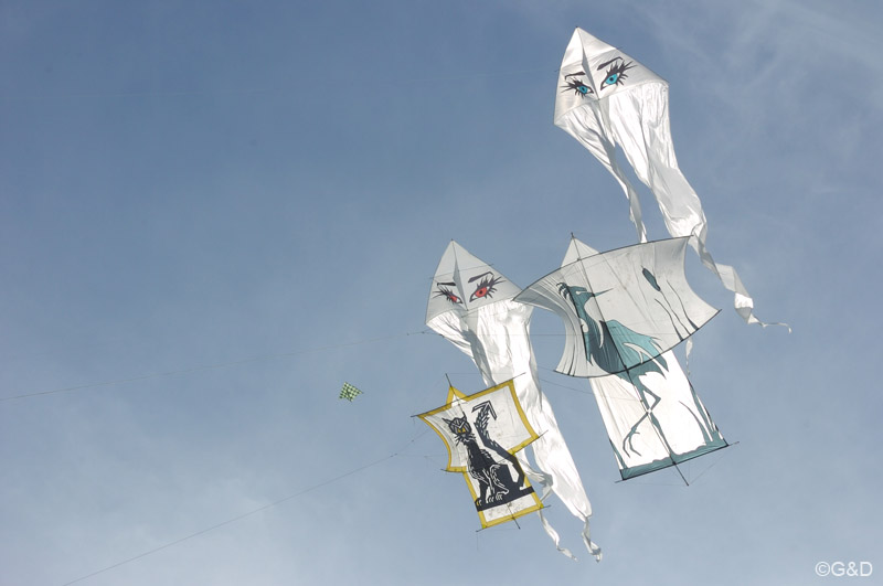 cervia130