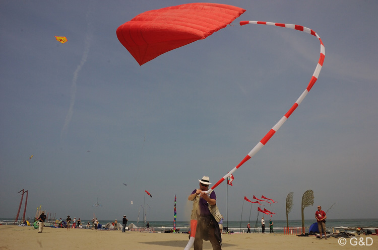 Cervia_ground_110