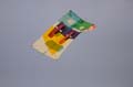 Cervia_ground_009