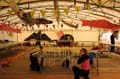 Cervia_ground_038
