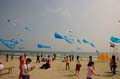 Cervia_ground_043