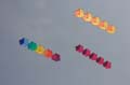 Cervia_ground_048