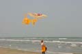 Cervia_ground_056