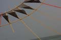 Cervia_ground_102