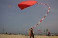 Cervia_ground_110