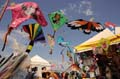 Cervia_ground_134