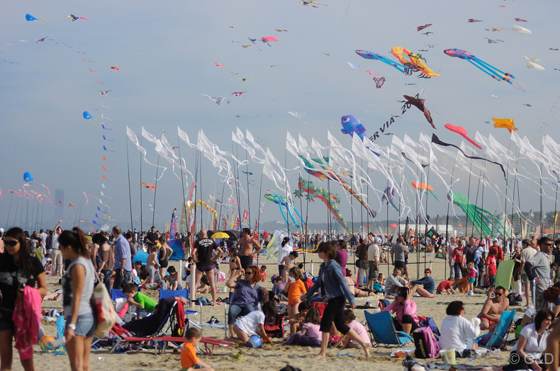 Cervia_2012_004