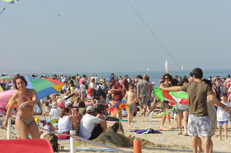Cervia_2012_008