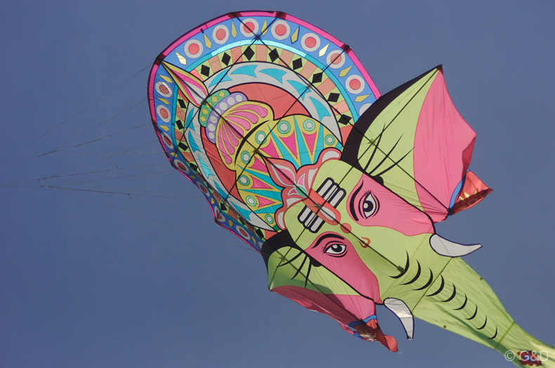 Cervia_2012_010