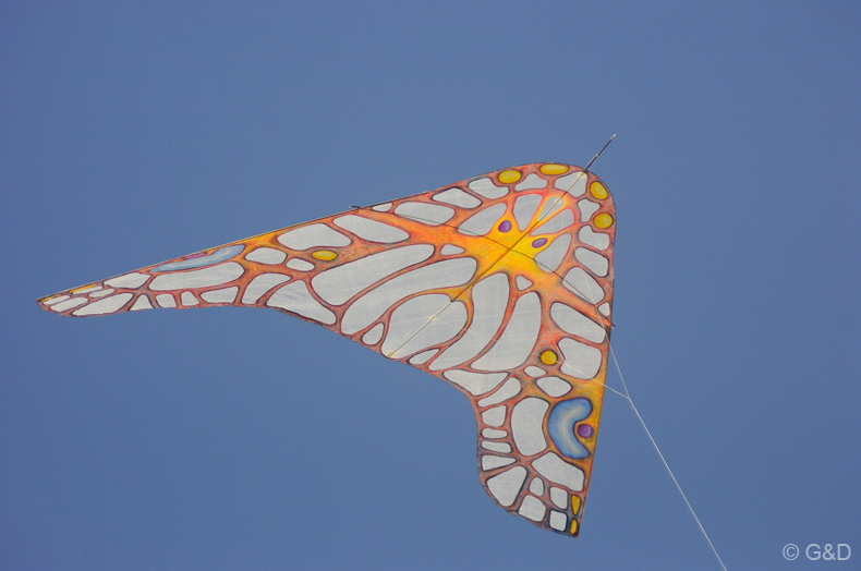 Cervia_2012_041