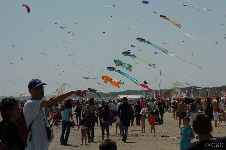 Cervia_2012_055