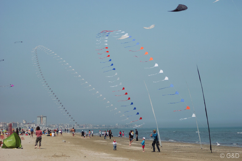 Cervia_2012_102