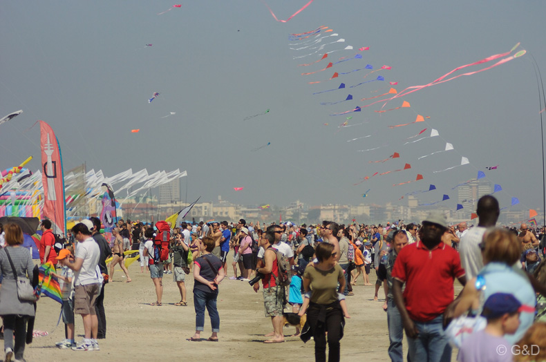 Cervia_2012_137