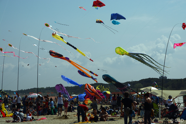 cervia_2014_007