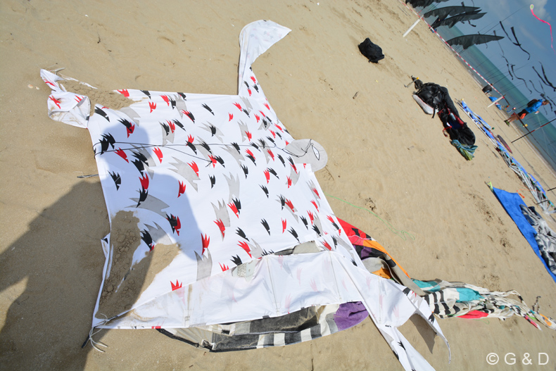 Cervia_2015_021