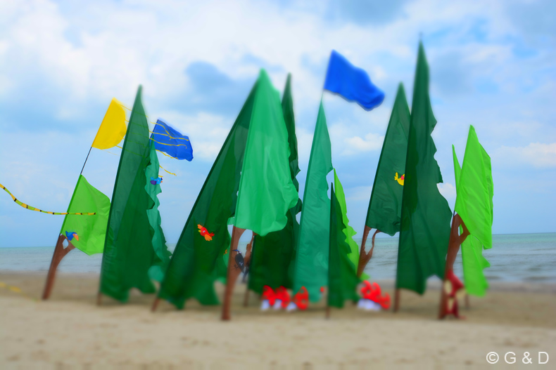 Cervia_2015_029