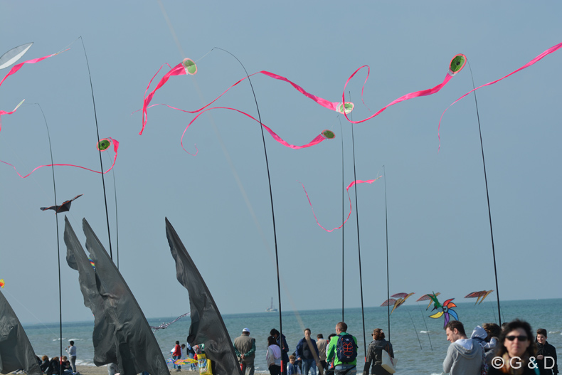 Cervia_2015_060