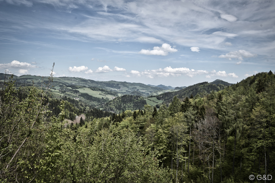st.anton131