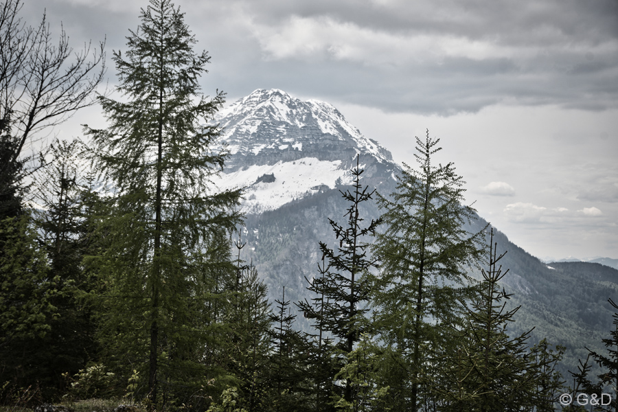 st.anton134