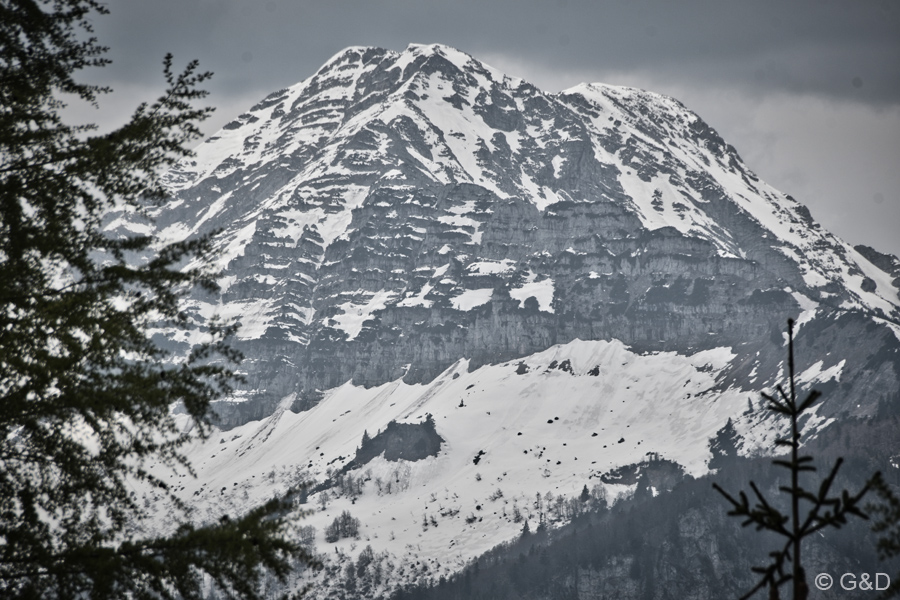 st.anton135