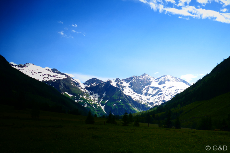 glockner005