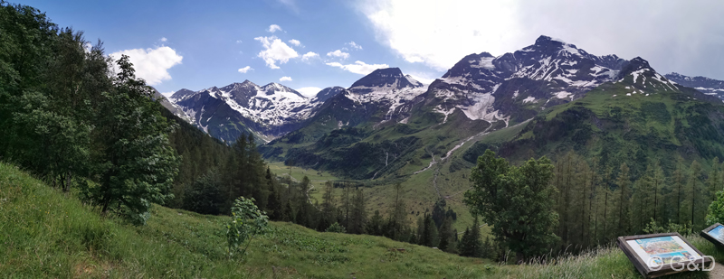 glockner023