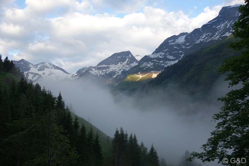 glockner031