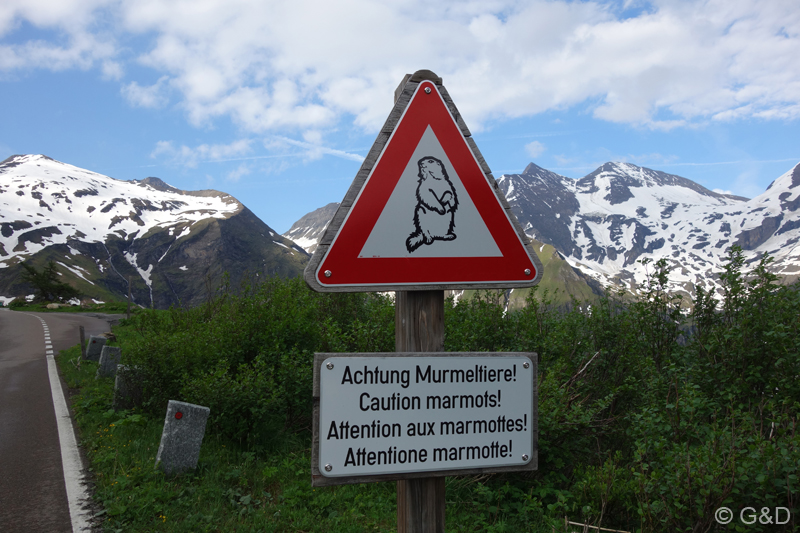 glockner039