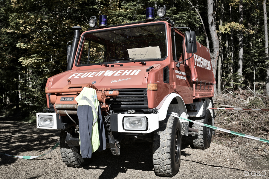 wildsau021