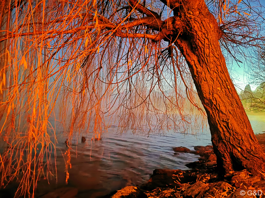 Gmunden056