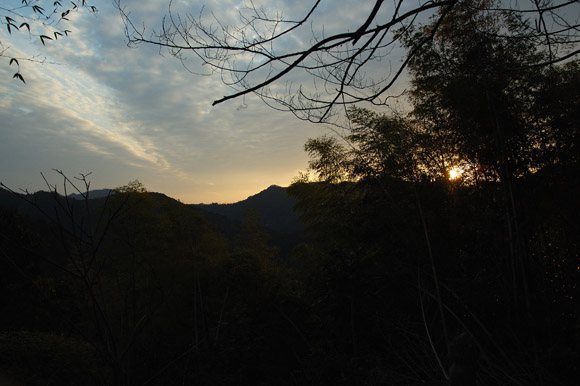 japan0285