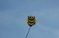 osow2005-10-08_019