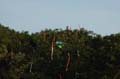 osow2005-10-08_042