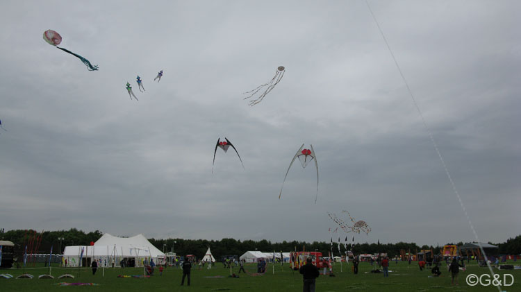 sunderland035