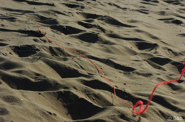scheveningen08_026