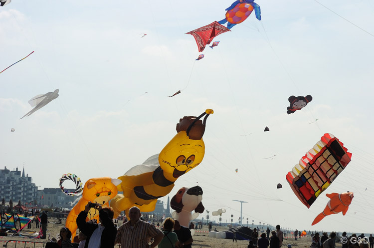 scheveningen08_079