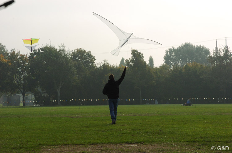 wienherbst010