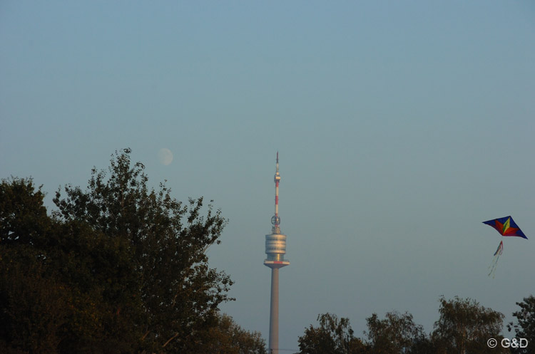 wienherbst049