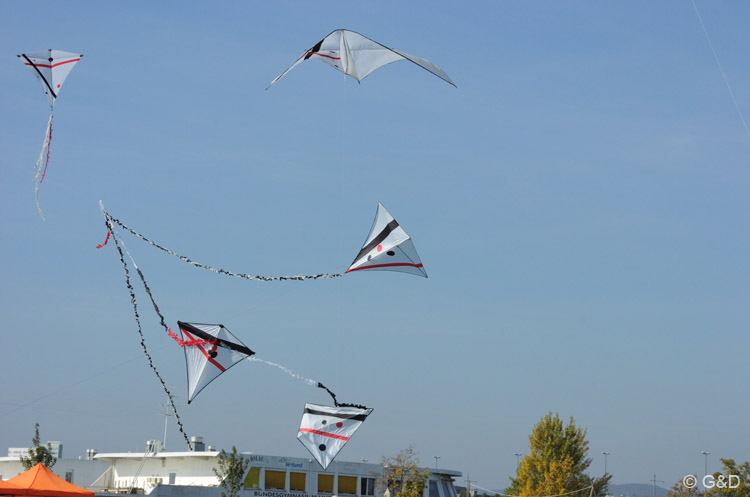 wienherbst067