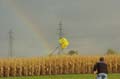 Tulln_041