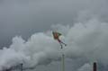 Tulln_043