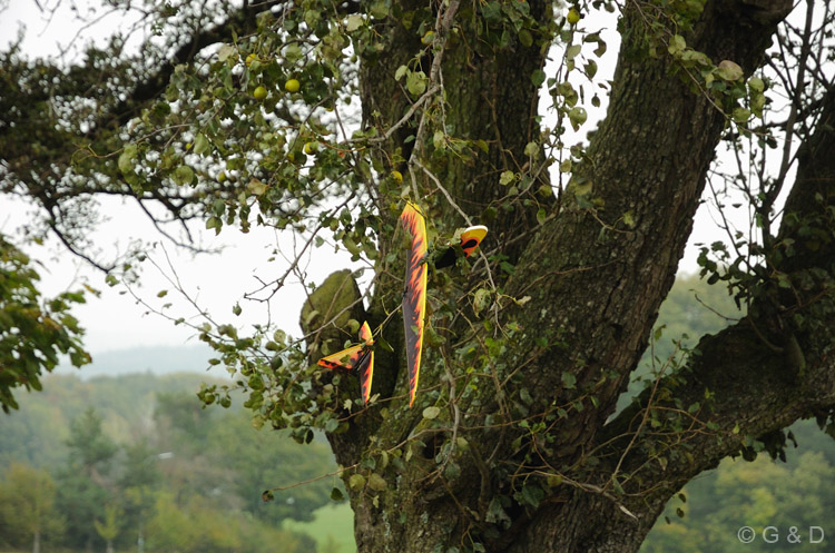 eichgraben09