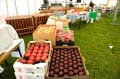 Sunderland_107