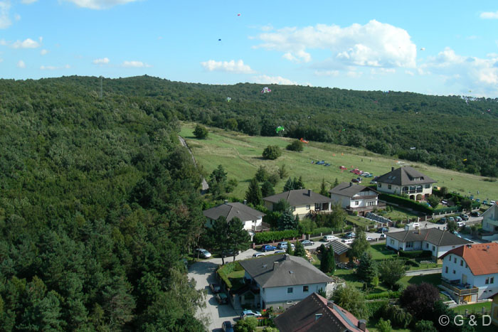 hof36